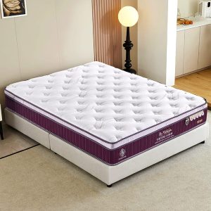 Dr Modena ORTHO FIRM